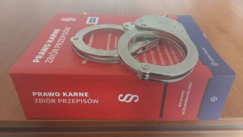 Zarzuty dla trzech osób podejrzanych o pobicie w centrum Rzeszowa