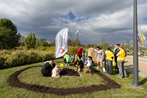 „Pola Nadziei” – Piękna inicjatywa wspierająca hospicja