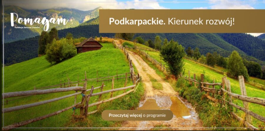 Podkarpacie stawia na młodych. Jak lokalne organizacje budują kapitał jutra?