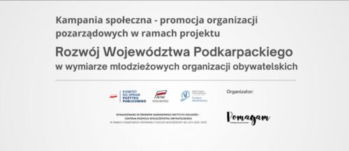 Młodzi liderzy zmieniają region. Poznaj organizacje, które budują przyszłość Podkarpacia
