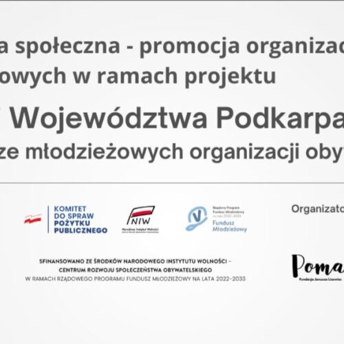 Młodzi liderzy zmieniają region. Poznaj organizacje, które budują przyszłość Podkarpacia