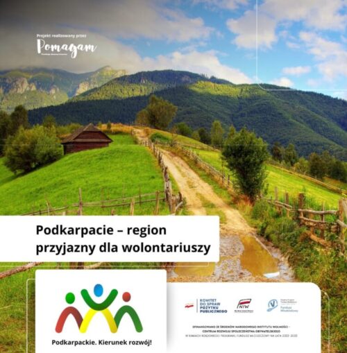 Młodzi w działaniu