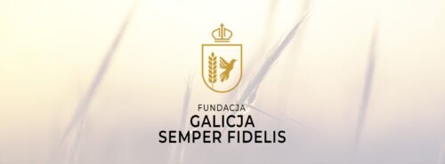 Fundacja potrzebuje pilnej pomocy – uszkodzony samochód uniemożliwia dalsze działania